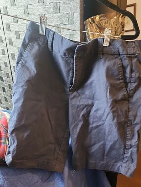J. Crew Factory Navy Casual Shorts